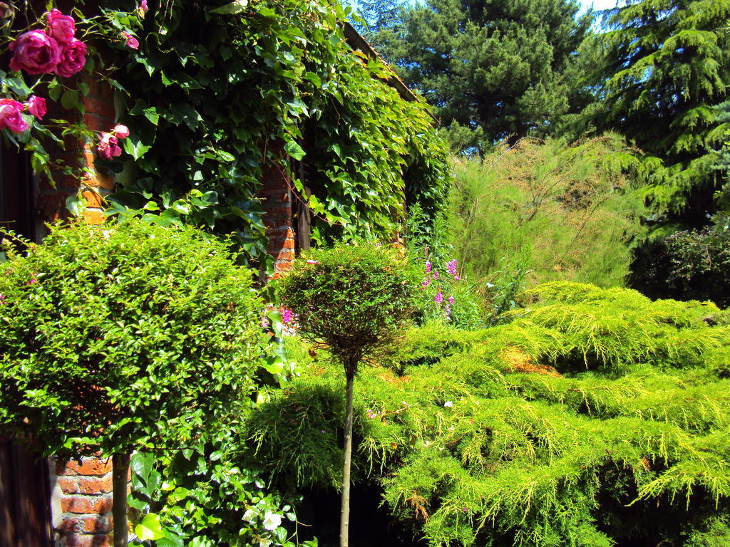 Bed and Breakfast Roulottes Du Rouard Camiers Exterior foto
