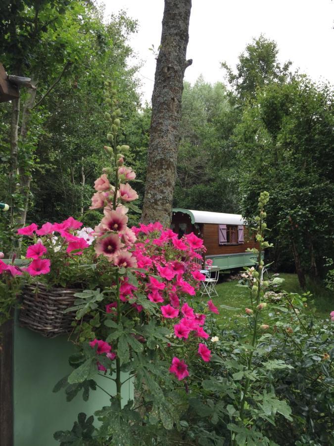 Bed and Breakfast Roulottes Du Rouard Camiers Exterior foto